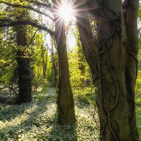 Bed & Breakfast Captain's Rest - Kingsize - Kettle - Toaster - Fridge - Sea Front 3*