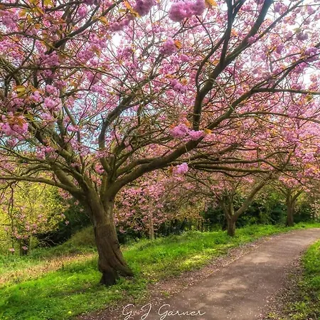 Captain's Rest - Kingsize - Kettle - Toaster - Fridge - Sea Front Bed & Breakfast Saltburn-by-the-Sea